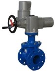 VAG EKO®plus Задвижка с электроприводом